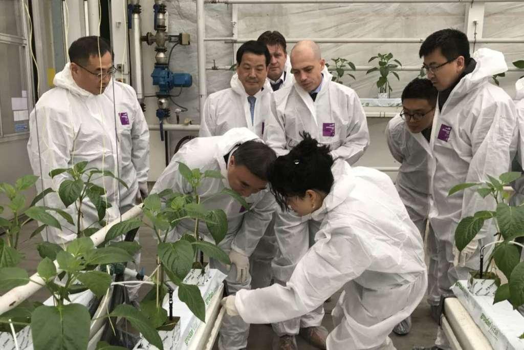口袋德州官网-口袋德州APP下载