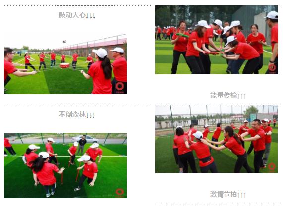 口袋德州官网-口袋德州APP下载