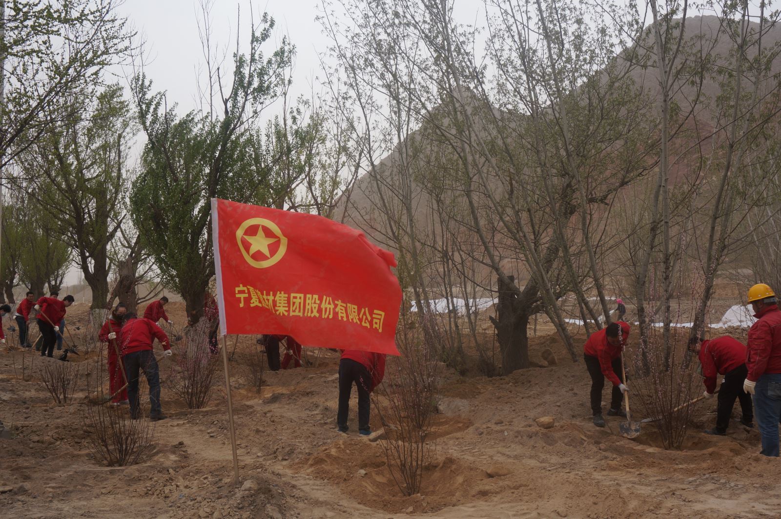 口袋德州官网-口袋德州APP下载
