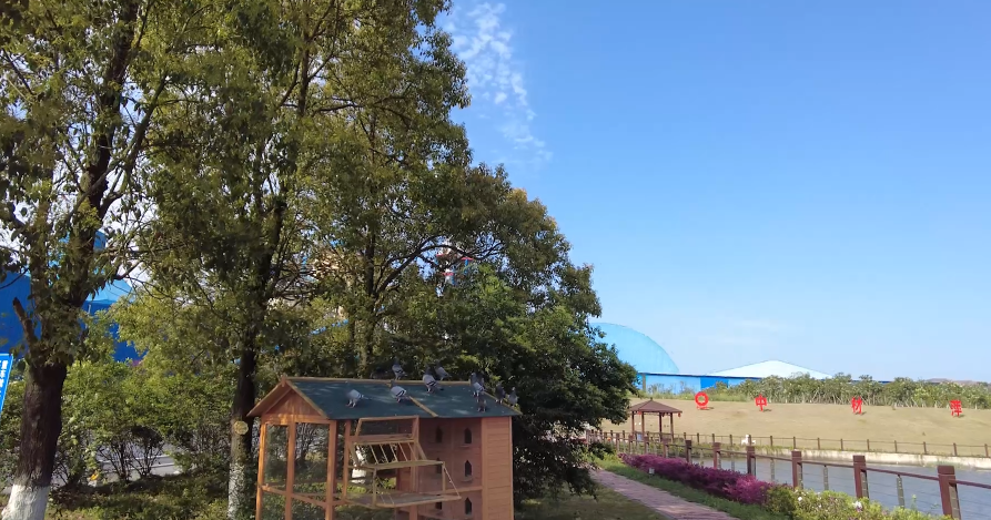 春来好时光，花圃工厂朝气勃勃