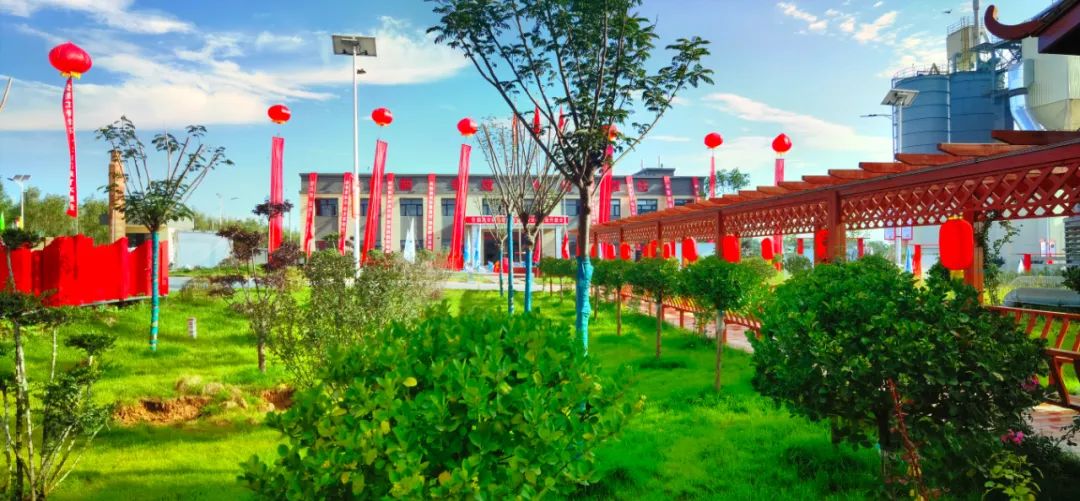 口袋德州官网-口袋德州APP下载