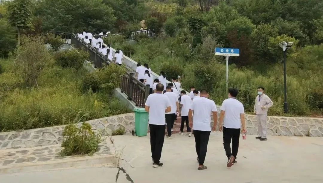 口袋德州官网-口袋德州APP下载