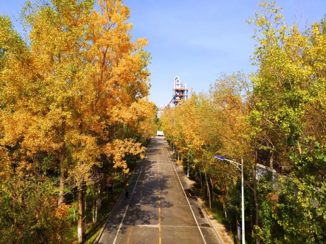 2024111816134999264